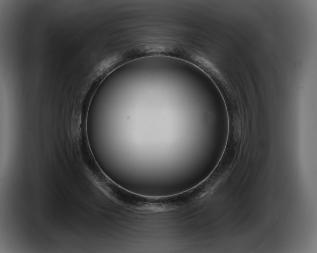 X0000086730490200704131110
