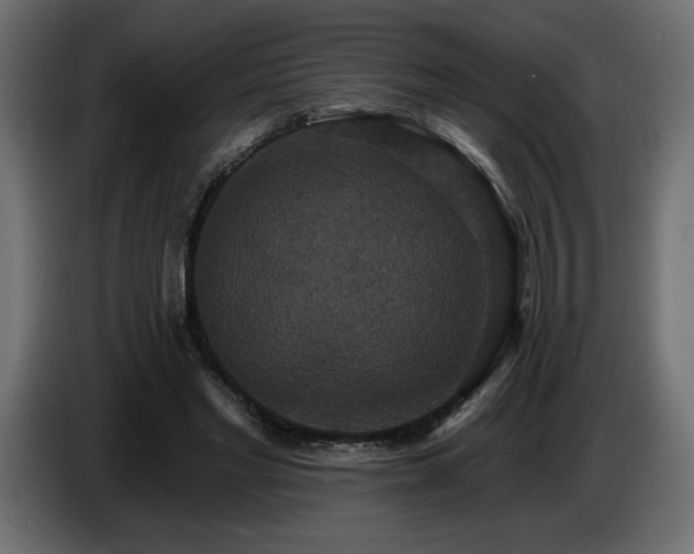 X0000086730493200704131110