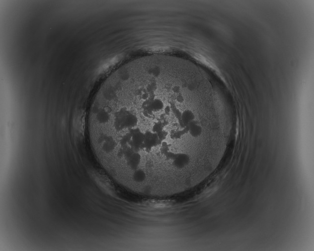 X0000086730495200704131110