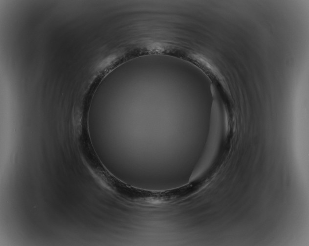 X0000086730496200704131110