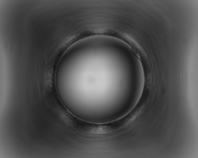 X0000086730497200704131110