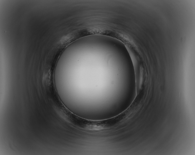 X0000086730498200704131110