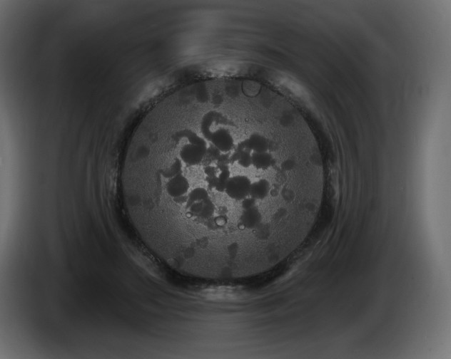X0000086730499200704131110