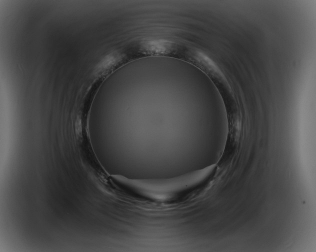 X0000086730500200704131110