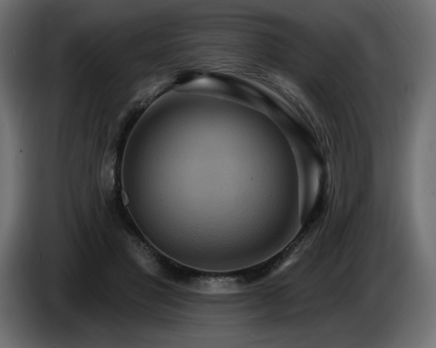 X0000086730501200704131110