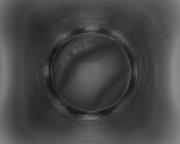 X0000086730502200704131110