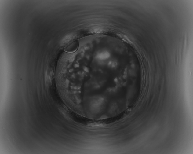 X0000086730503200704131110