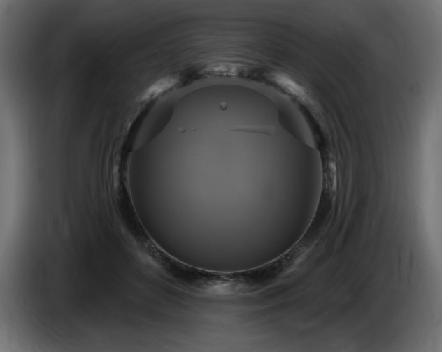 X0000086730504200704131110