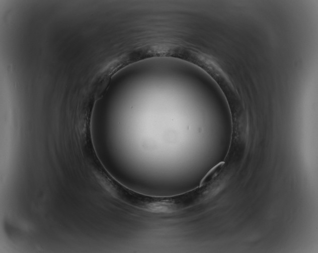 X0000086730505200704131109