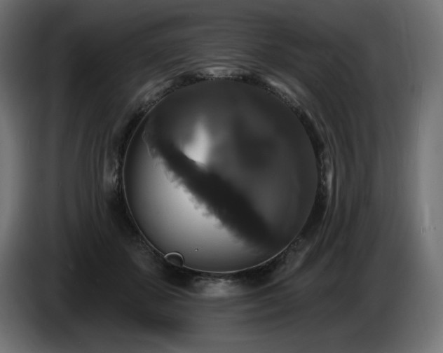 X0000086730507200704131109