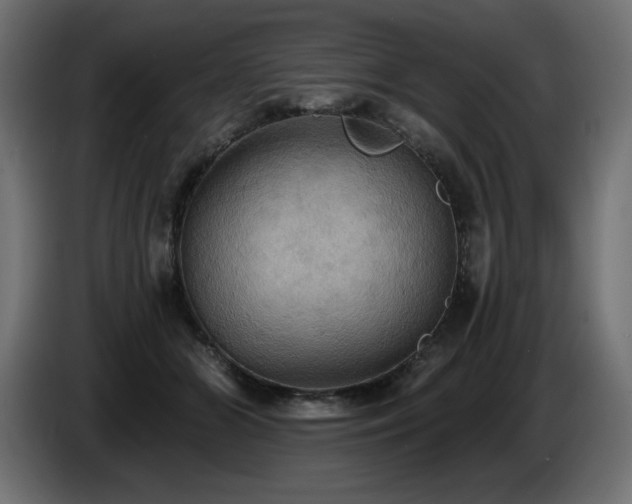 X0000086730510200704131109