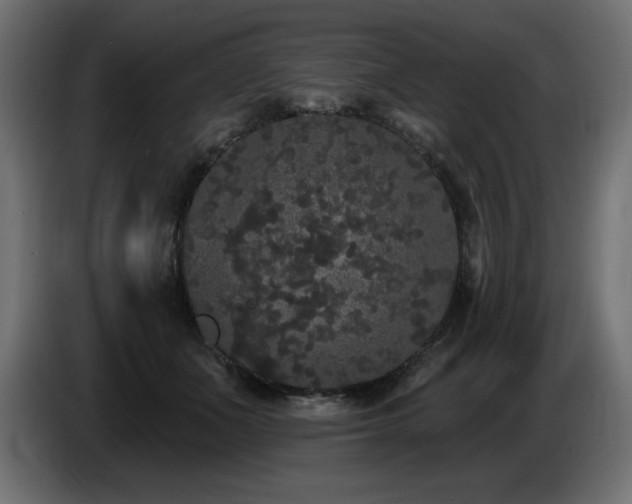 X0000086730511200704131109