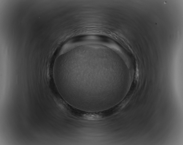 X0000086730512200704131109