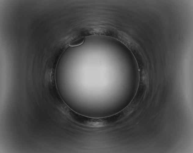 X0000086730514200704131109