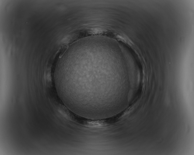 X0000086730516200704131109