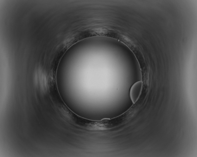 X0000086730518200704131109