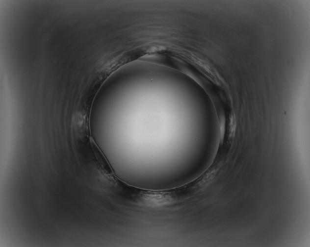 X0000086730521200704131109
