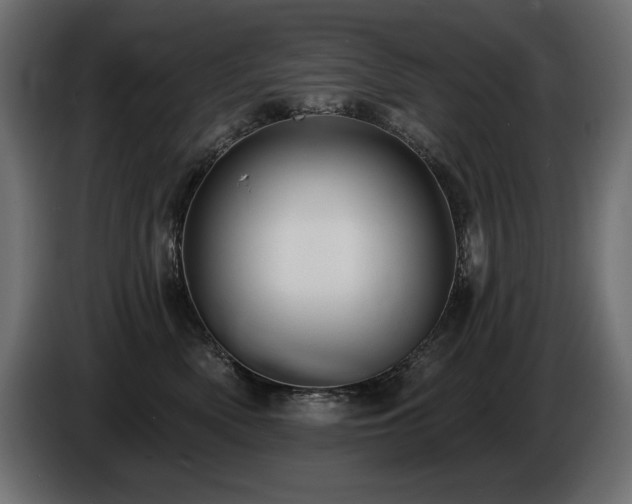 X0000086730522200704131109
