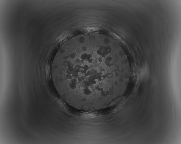 X0000086730523200704131109