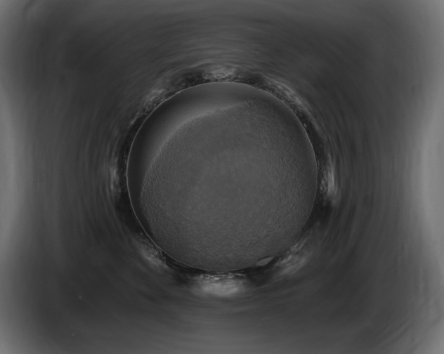 X0000086730524200704131109