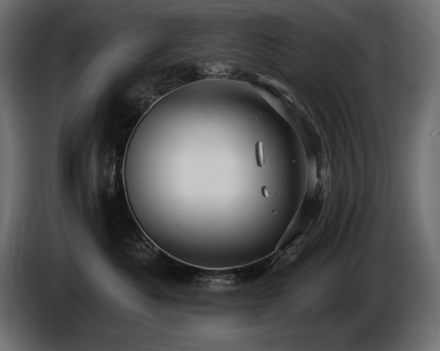 X0000086730525200704131109