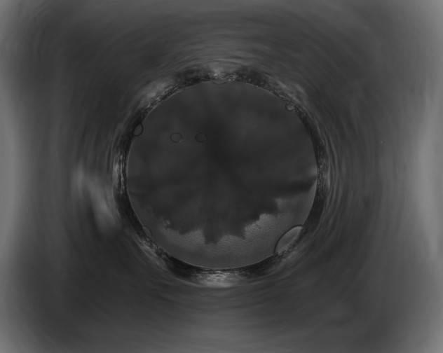 X0000086730527200704131109