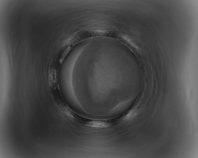 X0000086730528200704131109