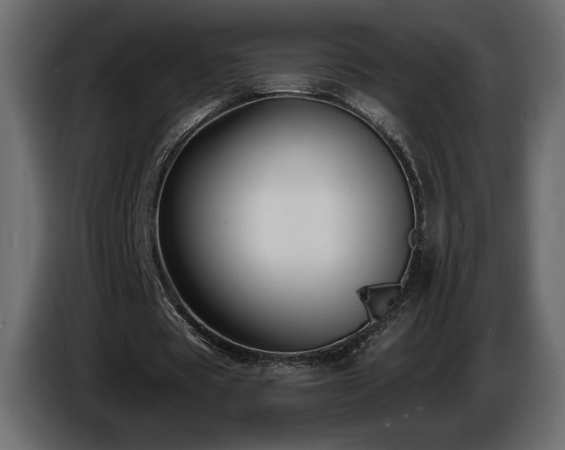 X0000086730529200704131108