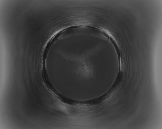 X0000086730531200704131108