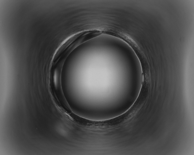 X0000086730532200704131108