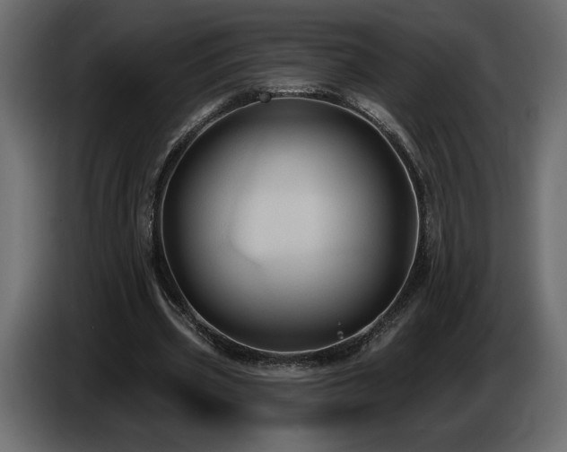 X0000086730533200704131108