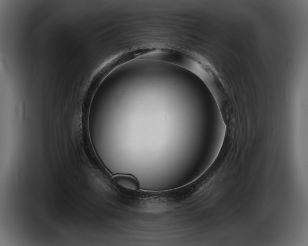 X0000086730535200704131108