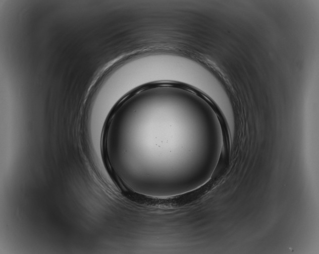 X0000086730536200704131108