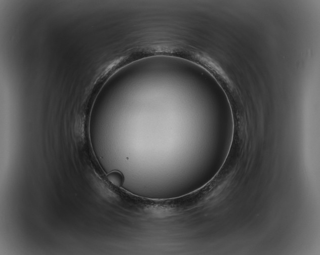X0000086730537200704131108