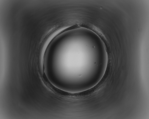 X0000086730538200704131108