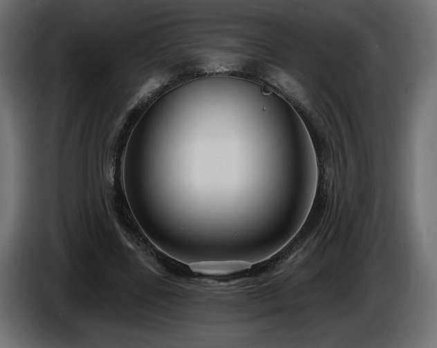 X0000086730539200704131108