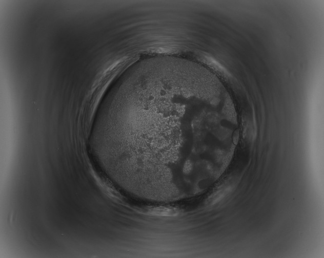 X0000086730542200704131108
