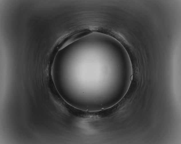 X0000086730543200704131109