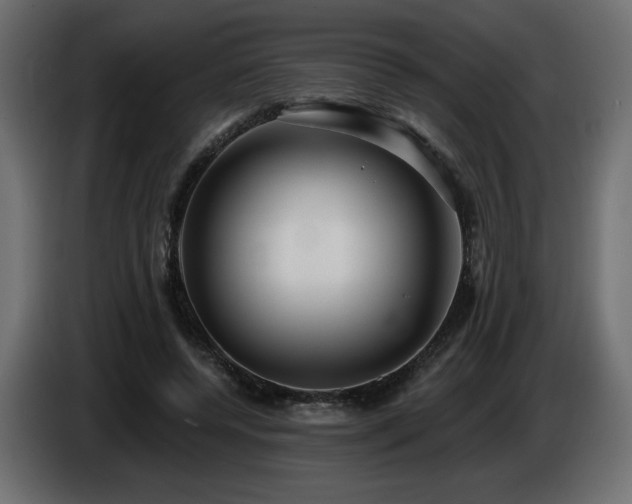 X0000086730544200704131109