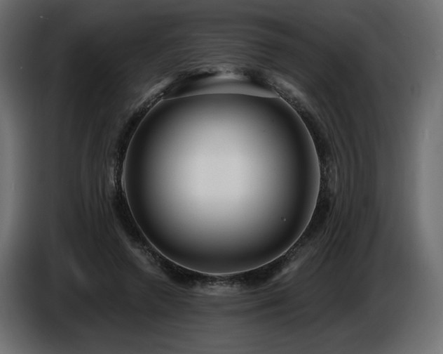 X0000086730546200704131109