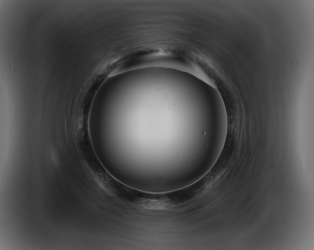 X0000086730548200704131109
