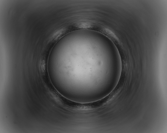 X0000086730549200704131109