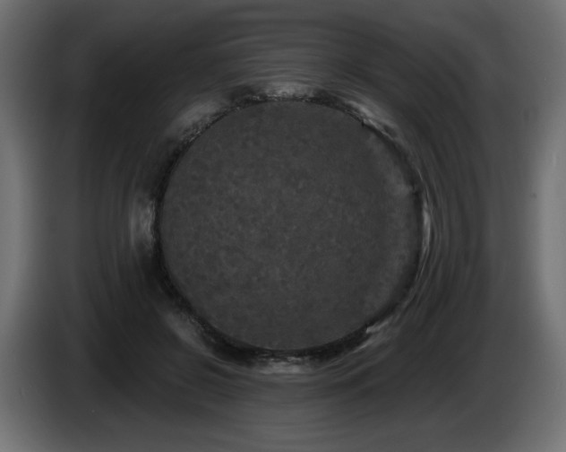 X0000086730550200704131109