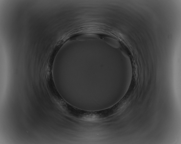X0000086730551200704131109