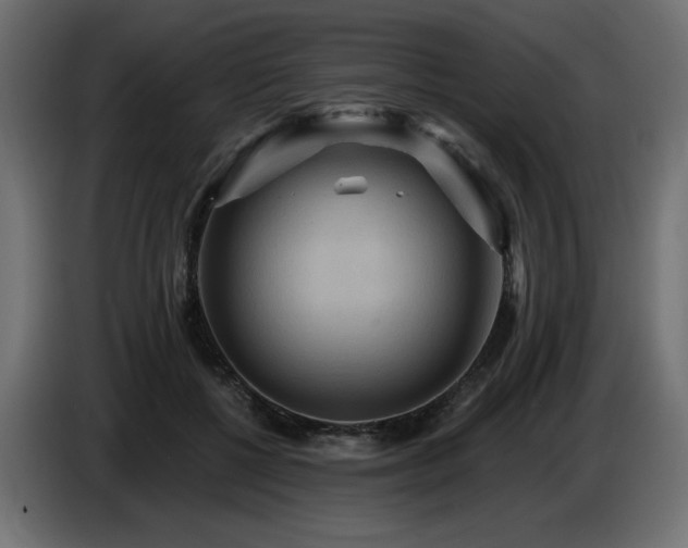 X0000086730552200704131109