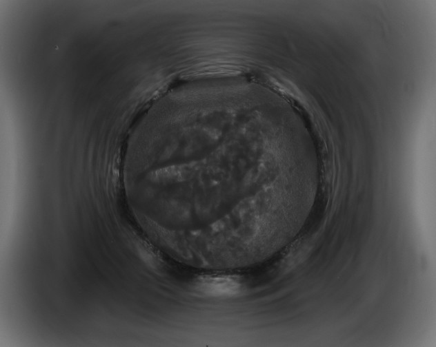 X0000086730553200704131109