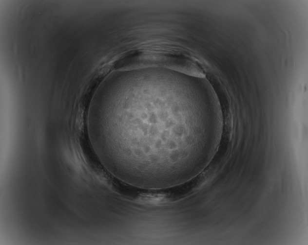 X0000086730554200704131109