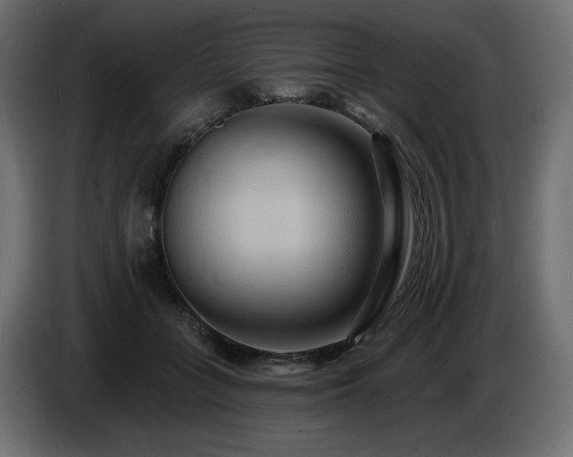 X0000086730555200704131109