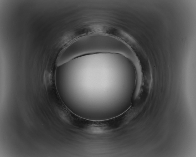 X0000086730556200704131109