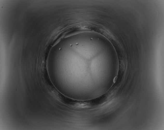 X0000086730557200704131109